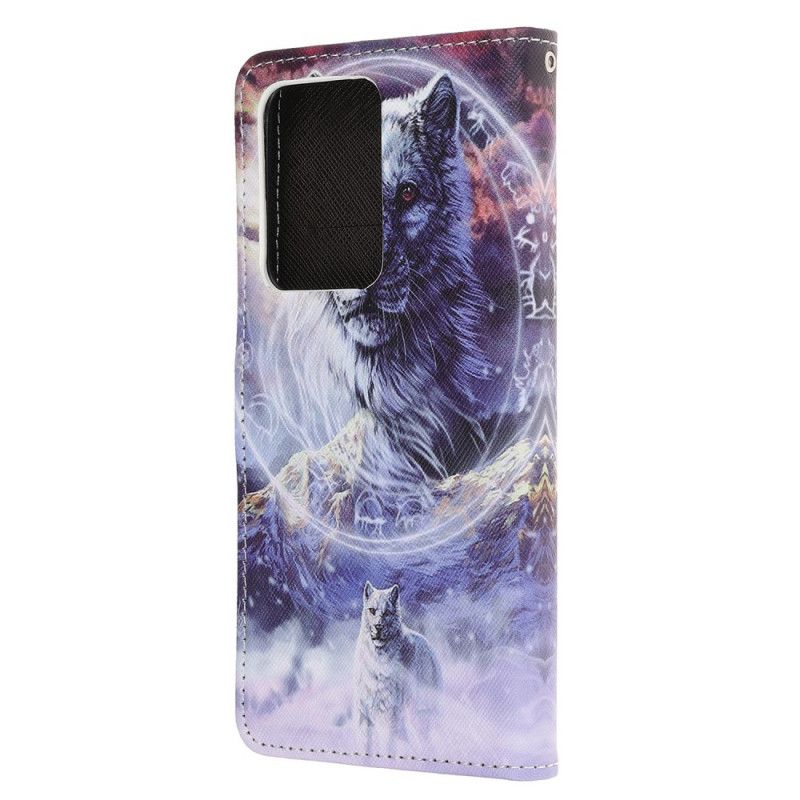 Kotelot Samsung Galaxy Note 20 Ultra Susi Talvella Remmi