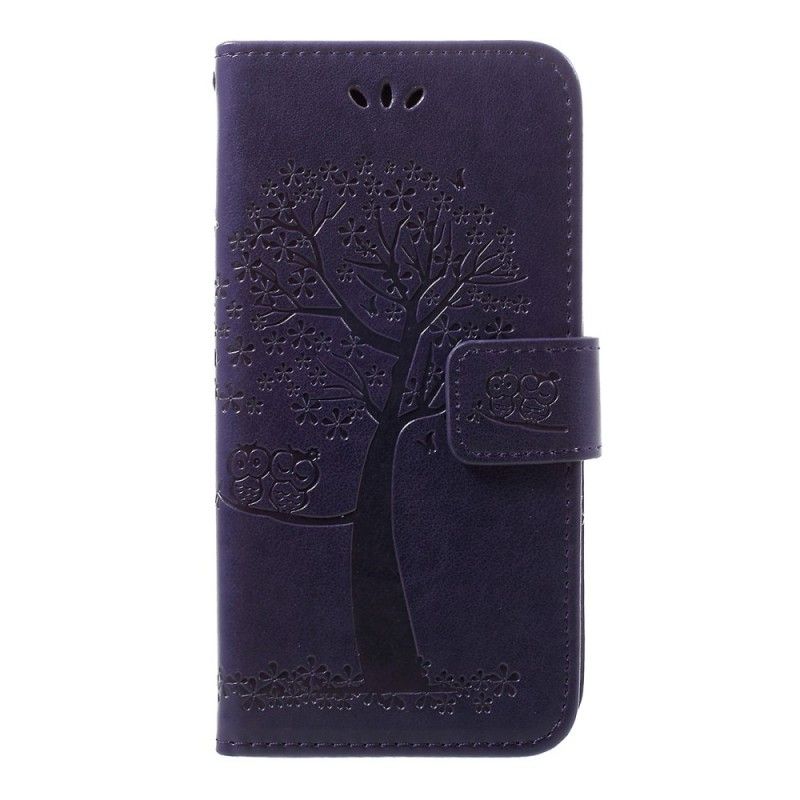 Violetti