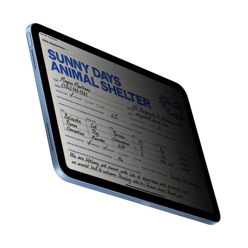 Vakoiluohjelmia Estävä Karkaistusta Lasista Valmistettu Näytönsuoja Ipadille (2025) / 10.9" (2022)