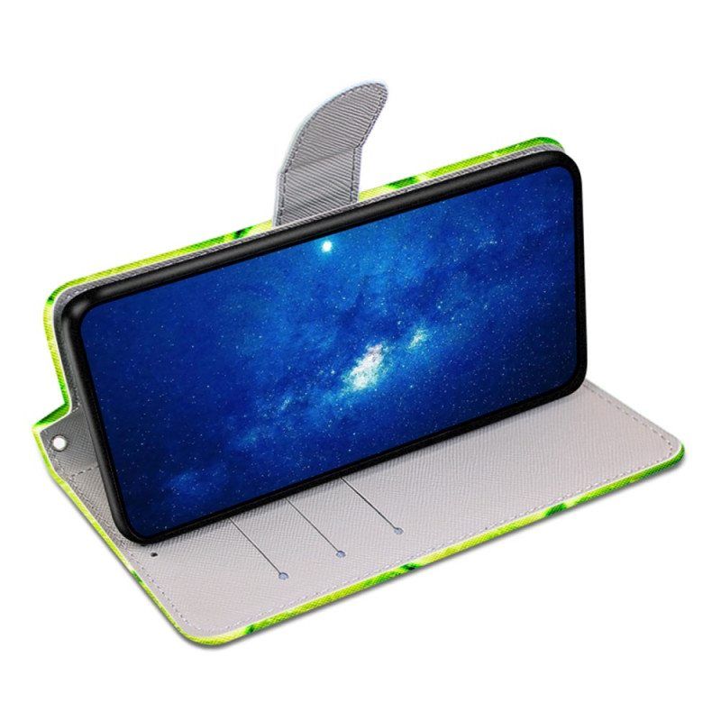 Kotelot Sony Xperia 10 IV Limetit
